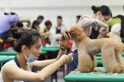 中国宠物经济强势爆发 方博士宠物DR引领宠物医疗与宠物服务新生态