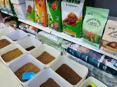 宠物流行外卖服务，郑州一月破千不是梦！