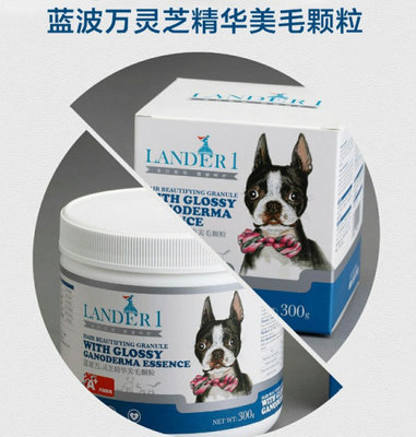 尖叫2019 宠物界领袖大会盛况空前，头部品牌商共筑行业未来