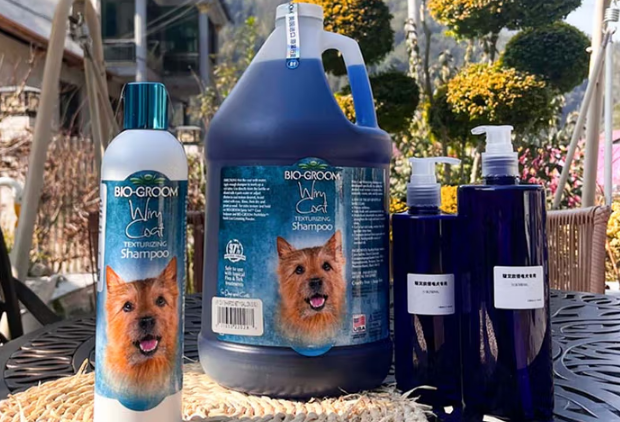 碧艾欧 以专业与关怀为核心的宠物服务新品牌