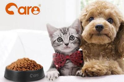 好主人宠物粮 科学配方，为爱宠提供全面营养与专业宠物服务