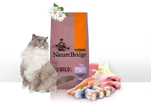 宠界双十一 这场狂欢，能否真正俘获主子的心？