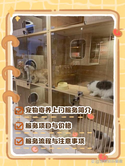 宠物寄养新趋势 上门服务如何让爱宠倍感安心