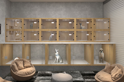 宠物店引领专业养护新潮流——全方位宠物服务的创新与未来