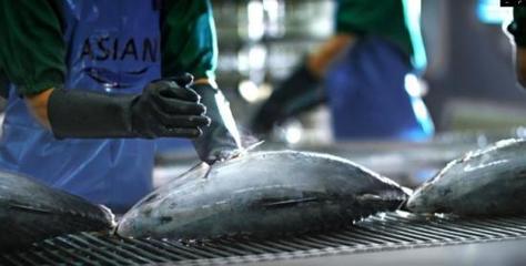 泰国食品巨头ASIAN联手monchou慕安士布局中国宠物服务市场